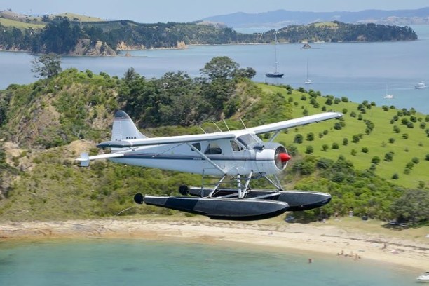 Small plane flying over the small island