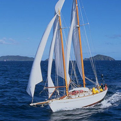 Classic boat sailing on the island in Auckland