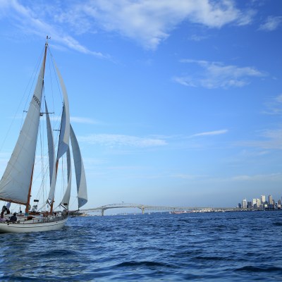 Classic boat cruising during sunset in Auckland